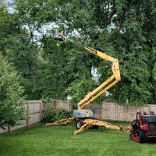 Best Emergency Tree Removal  in Huntland, TN