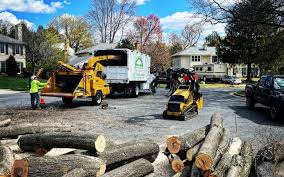 Best Tree Health Inspection  in Huntland, TN